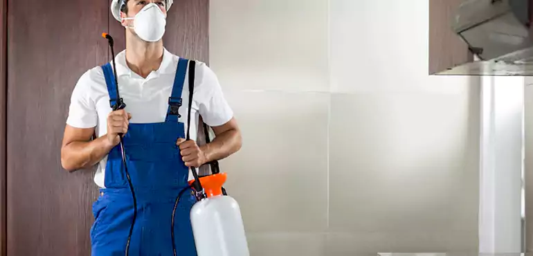 Why Lakewood Homeowners Choose Us When Pests Make Selling Difficult